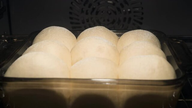 Baking of fluffy dinner bread rolls sprinkled with flour on top. Delicious soft milk buns rising in oven and turning from raw to golden color. 4K time lapse video, focus on back row of buns