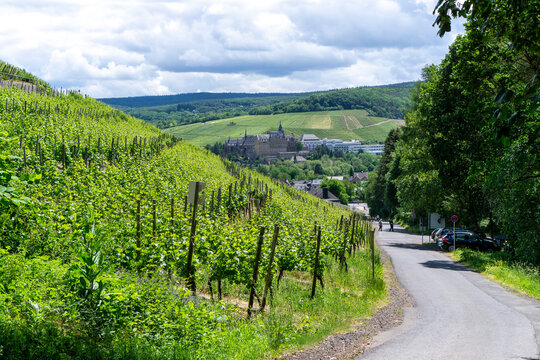 Wandern im Ahrtal &uuml;ber Ahrweiler auf dem Rotweinwanderweg