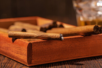 Set of cigars on wooden background close up