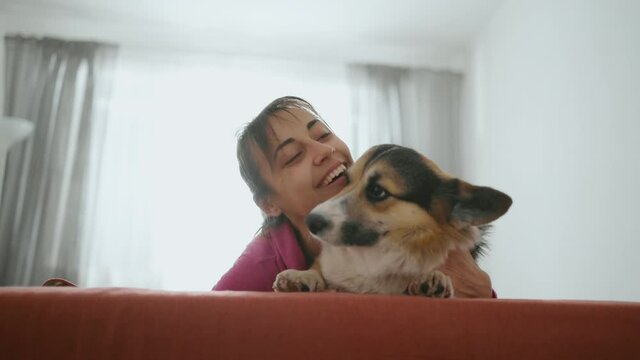 lovely brunette woman with funny cute Welsh Corgi dog on couch in in apartment with minimalist interior. woman treats her dog with tenderness and love, squeezes and strokes it, dog fawns in response