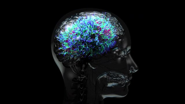 Damage brain, causing symptoms like&nbsp;delirium&nbsp;and confusion or dementia.
