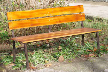 Wooden bench in the park