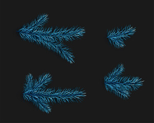 Set of Blue spruce branches and twigs.