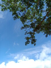 blue sky and clouds