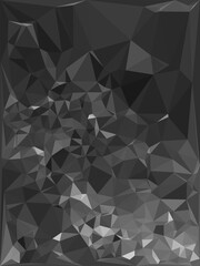 monochrome photograph of many substantial exposed beech tree roots