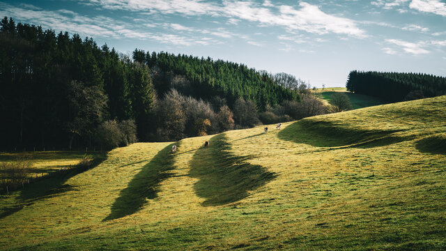 Wanderung rund um Wildenburg
