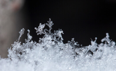 winter card, photo real snowflakes on snow