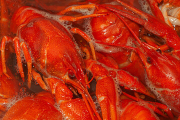 Red crayfish in boiling water. Close-up, selective focus. Preparation of snacks.