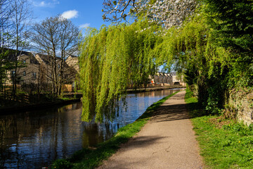 Fototapeta na wymiar canal in the park