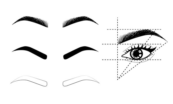 Types of eyebrows. Eyebrow architecture. Vector eyebrows, icons