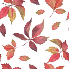 seamless watercolor pattern with autumn leaves  
