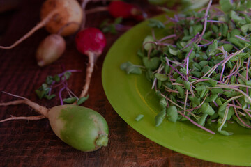 Red radish microgreens on green plate with with red and green radish
