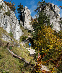 Fototapeta na wymiar Young hiker backpacker woman on the hiking path having a mountain walk using trekking poles enjoying autumn nature with huge picturesque clifs, Slovakia. Active people in nature concept image.
