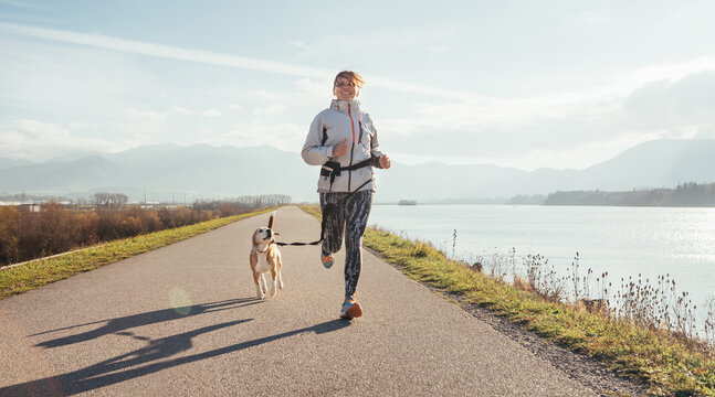 Morning jogging with a pet: a female running together with her beagle dog by the asphalt way along lake with a foggy mountain landscape. Canicross exercises and active people and a dog concept image.