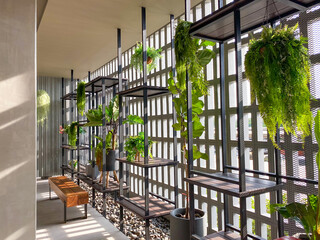 The sunlight shines through the white cement wall. There are plants placed as a place to relax.