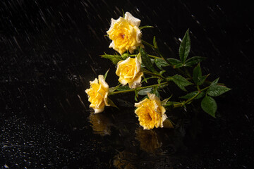 Bouquet of roses with dew on a wet surface, selective focus.