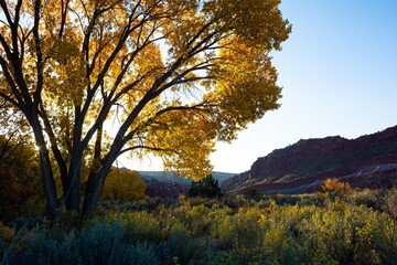 Fototapeta premium Paria, Utah in Autumn