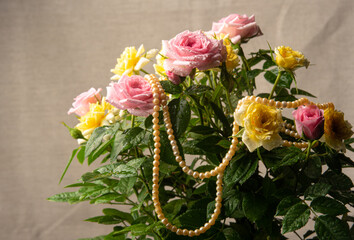 Bouquet of roses with dew with pearl necklaces on gray background, selective focus.