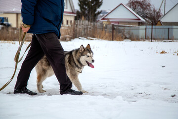 young guy walking the dog on a leash