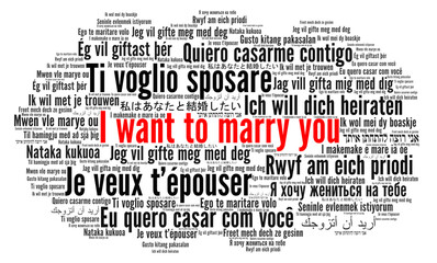 I want to marry you word cloud concept in different languages
