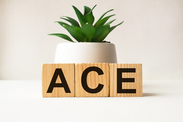 wooden cubes with text ACE . the medicine. medical concept