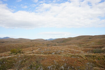 Fototapeta premium The landscape of Akiyoshi plateau in Akiyoshidai Kokutei Koen, Akiyoshidai National Park, in Yamaguchi, Japan - 秋吉台 日本 