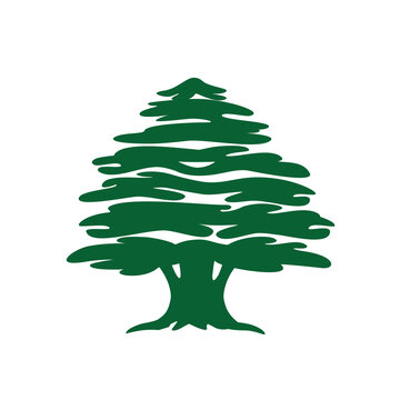 Abstract cedar tree. Lebanese cedar silhouette can be used in logo design, icon, symbol. Vector illustration.