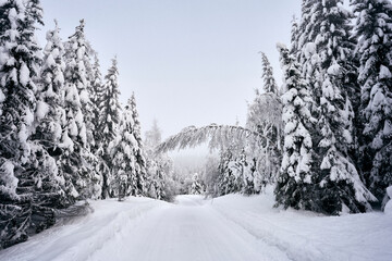 road in the snow