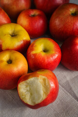 Many red apples lie on a gray canvas, one bitten in front