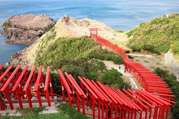 Many torii gates of the Motonosumi shrine in Yamaguchi, Japan - 日本 山口県 元乃隅神社 鳥居 