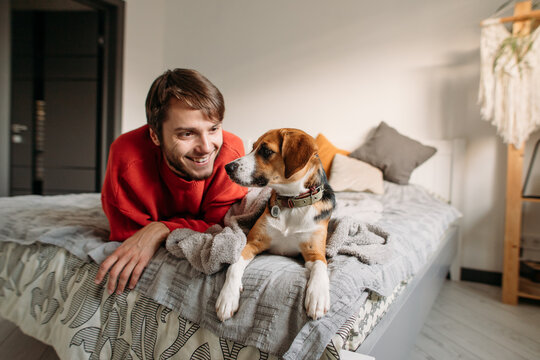 happy man with cute dog in bedroom on bed