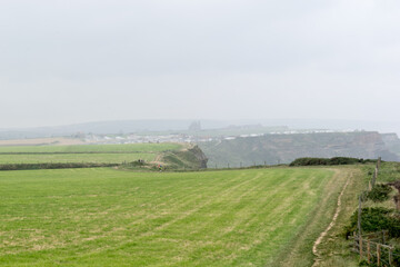 landscape in the country