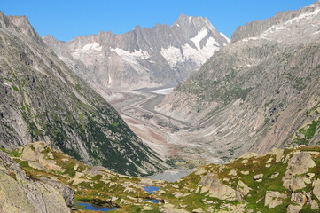 The Unteraar glacier stretching out in front of the Schreckhorn.