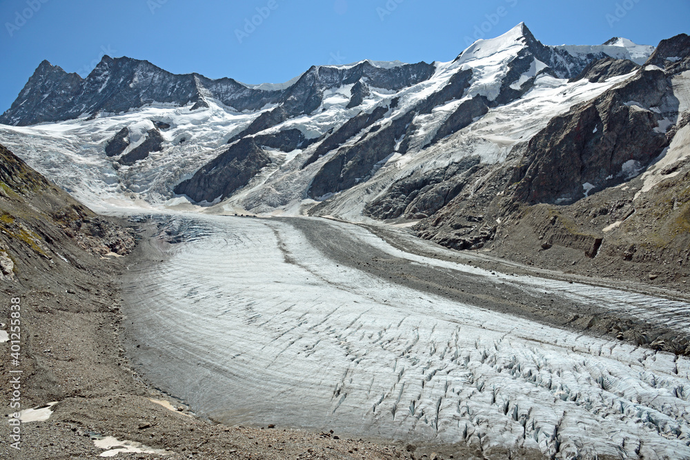 Wall mural the lower grindelwald glacier flowing down the finsteraarhorn and the agassizhorn.