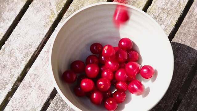 Ripe red cherrys in a bowl