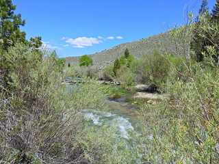 Beautiful Robinson Creek flowing through the Humbolt-Toiyabe National Forest in the eastern Sierra Nevada Mountains, Mono County, California.