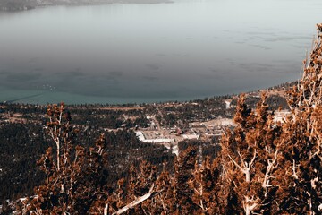 lake tahoe with trees
