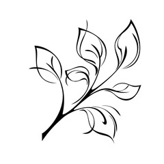 ornament 1444. stylized twig with leaves in black lines on a white background