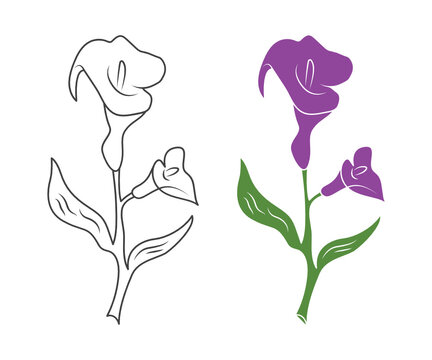 Free Free 237 Vector Lily Flower Svg SVG PNG EPS DXF File
