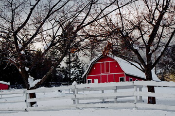 A red barn surrounded by trees in a snow-covered winter landscape. © Walt