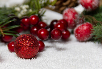 Fototapeta na wymiar christmas tree branch and red pomegranate on a white background