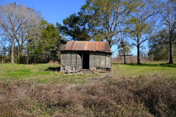 Obraz premium Abandoned house at Lake Martin in Breaux Bridge Louisiana.