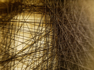 Obraz premium stringart