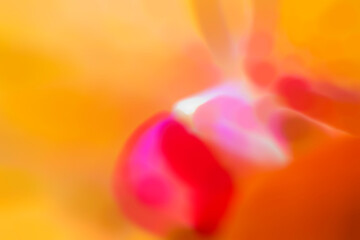 Abstract blurred background of bright spots. Colorful festive background for layout. Template for book cover, brochure, leaflets or website