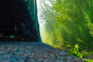 A freight train with carriages painted green stands in the forest in the early morning. Corridor between trees and freight cars.