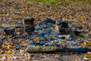 Remains of a burnt campfire in the forest. Charcoal and burnt branches at a picnic site in the park among autumn leaves.