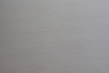 Texture of wood painted in matt white. Background