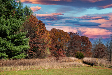 autumn landscape with trees and sky