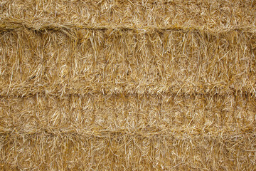 The pressed straw texture and background