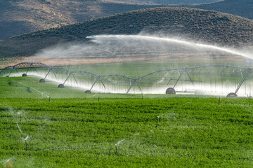 USA, Idaho, Bellevue, Center pivot irrigation system sprinkling water in field
